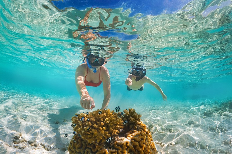 Mother and son discover coral while snorkeling