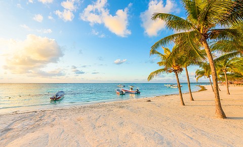 Las Mejores Playas de México